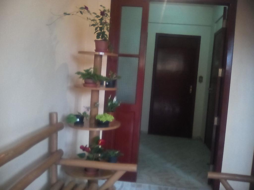 Florianópolis Residencial Dona Vilma酒店 外观 照片